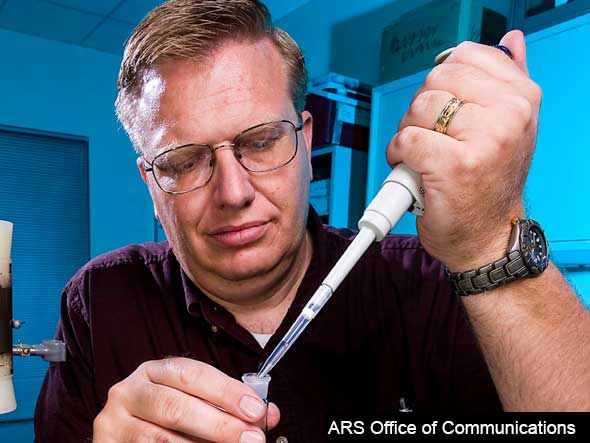 Scientist working from ARS Office of Communications